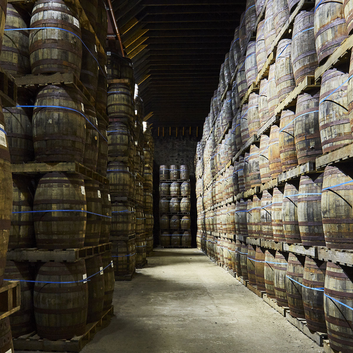 A dimly-lit warehouse filled with stacks of wooden barrels arranged in rows. The barrels are aged and secured with metal bands. The floor is concrete, and the barrels are stacked on wooden pallets, creating a pathway through the center of the room.