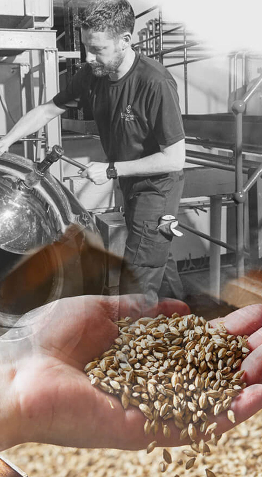 A bearded man wearing a black t-shirt and black pants is working with brewing equipment in a brewery. In the foreground, a close-up view of hands holding a handful of barley grains is shown. The industrial setting has modern brewing machinery.