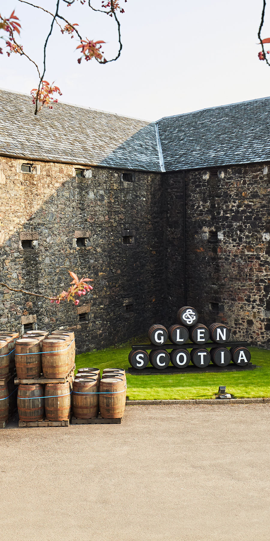 A courtyard with a stone building, barrels stacked in the background form the words "Glen Scotia," and additional barrels on the left. Branches with red leaves hang in the upper part of the image.
