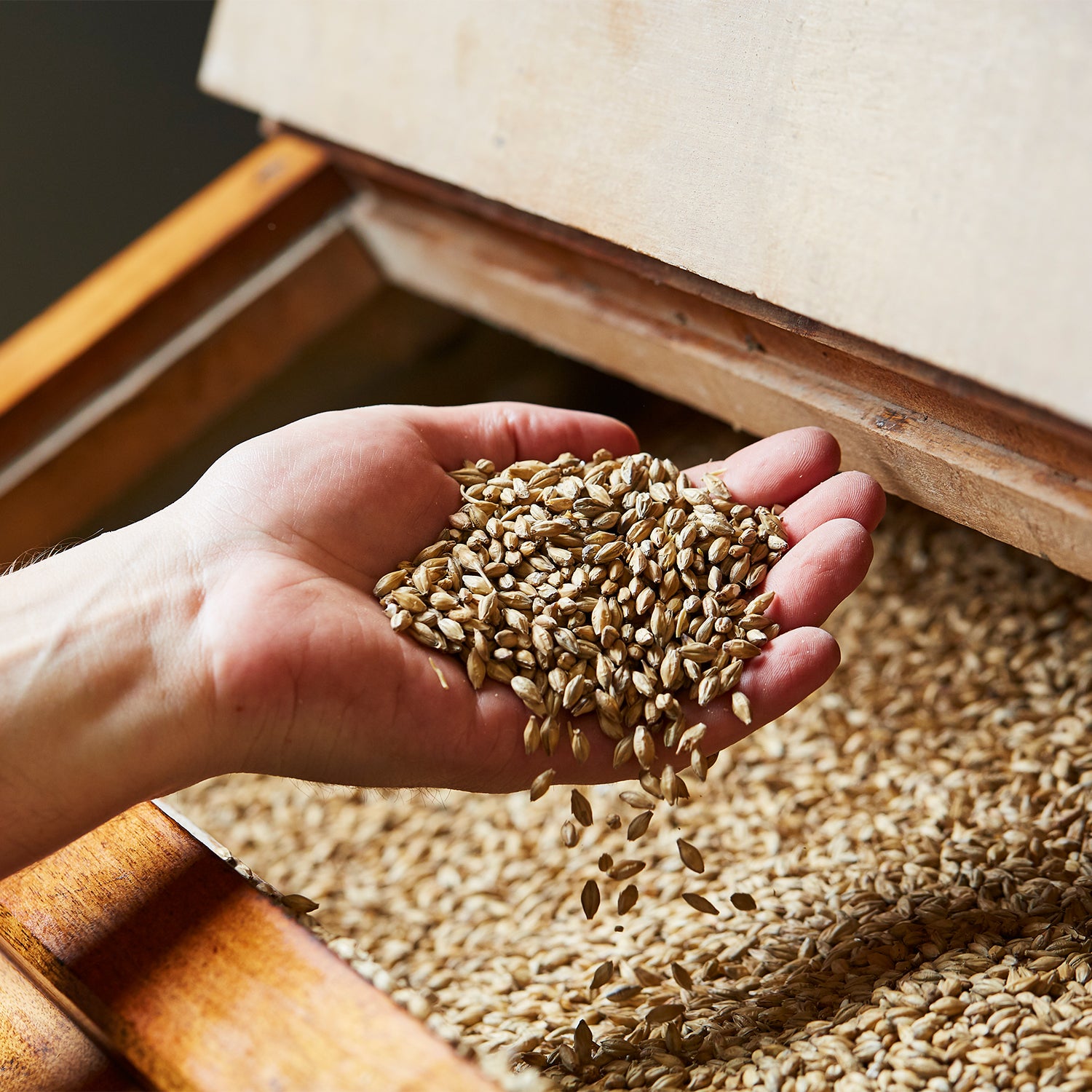 A close-up of a hand holding and letting grains fall into a wooden storage container filled with the same grains. The grains appear to be small, elongated, and light brown in color. The background shows the wooden rim and partially opened lid of the container.