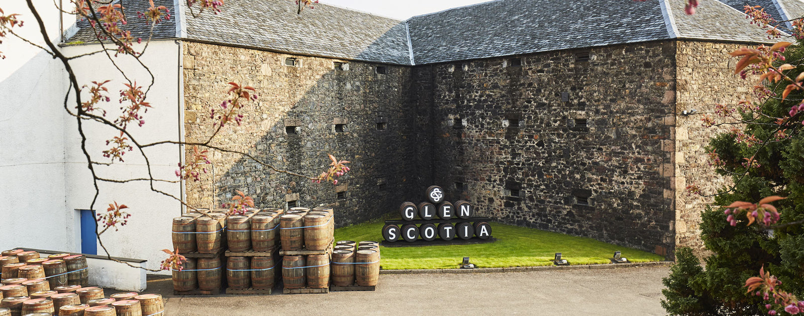 A historic stone building with a slate roof is surrounded by trees. Several wooden barrels are stacked outside the building. A large sign on the green lawn in front of the building reads "Glen Scotia." The scene is bright and serene with sunlight.
