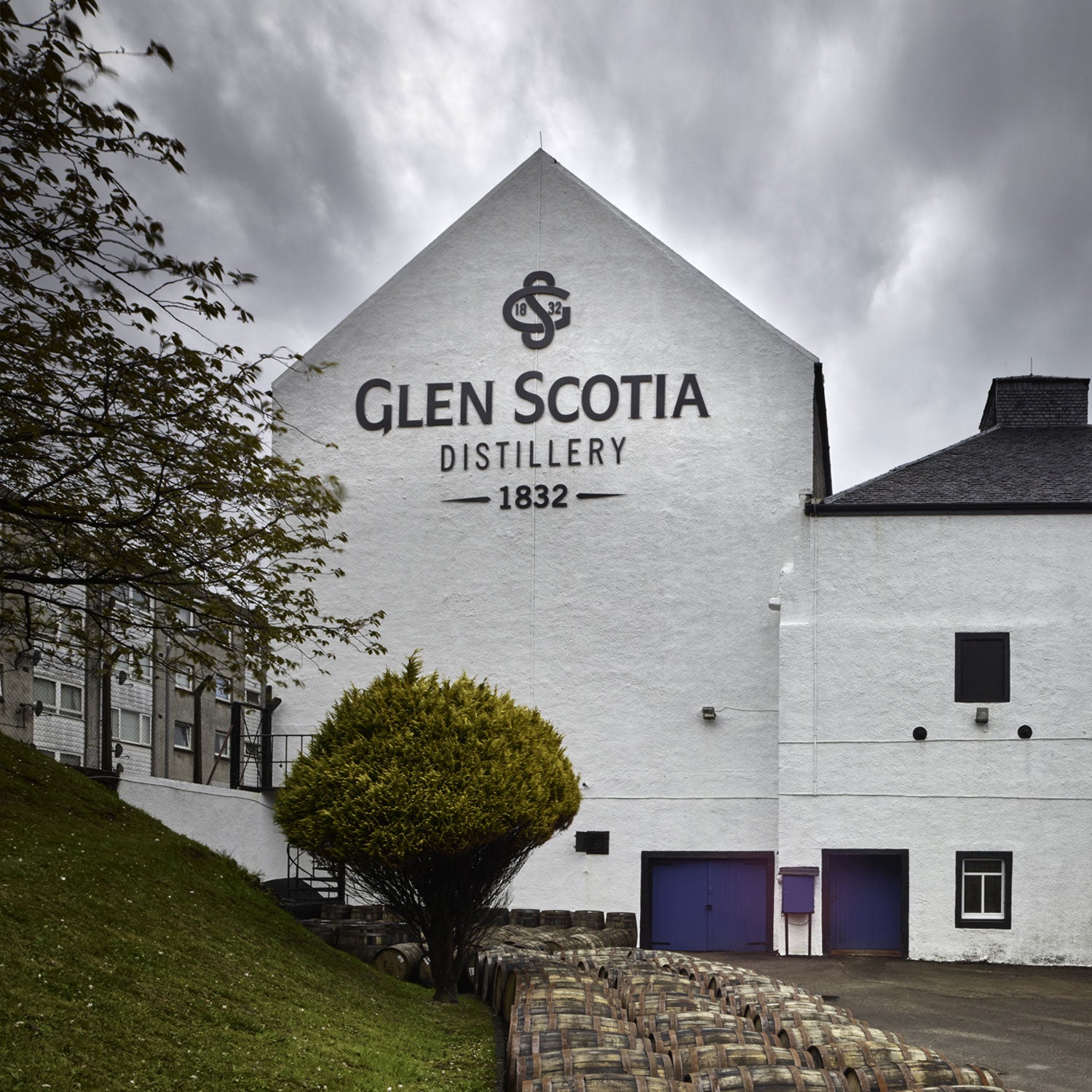 An image of the Glen Scotia Distillery, dated 1832, with a large sign prominently displayed on the white exterior wall of the building. The foreground features a neatly trimmed bush and several rows of wooden barrels, under a cloudy sky.